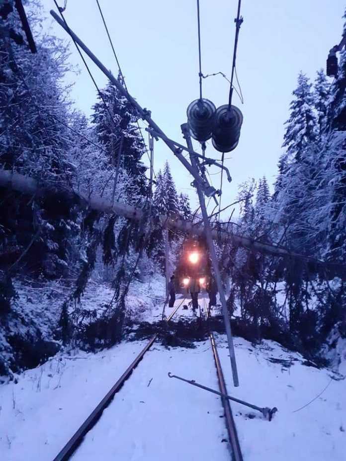 copaci căzuți pe calea ferată tren blocat valea largă trafic feroviar oprit pe M400 copaci căzuți pe calea ferată